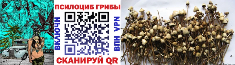 Псилоцибиновые грибы MAGIC MUSHROOMS  наркошоп  Казань 